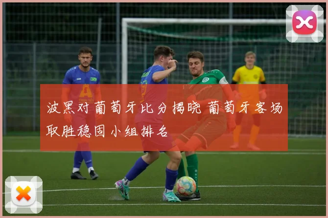 波黑对葡萄牙比分揭晓 葡萄牙客场取胜稳固小组排名